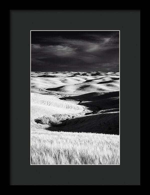 Palouse In Bloom