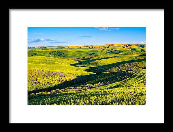 Palouse Springtime Tranquility