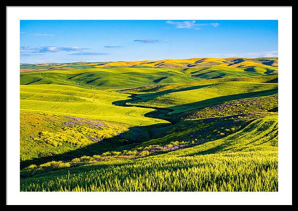 Palouse Springtime Tranquility