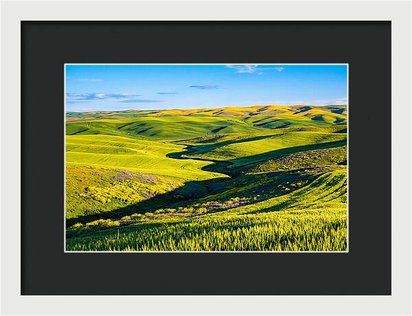 Palouse Springtime Tranquility