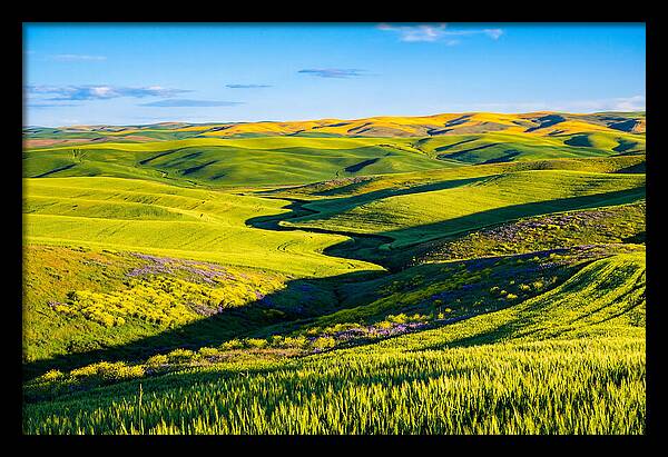Palouse Springtime Tranquility