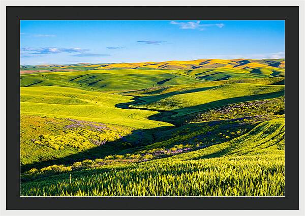 Palouse Springtime Tranquility