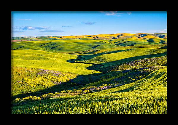 Palouse Springtime Tranquility