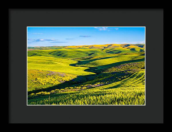 Palouse Springtime Tranquility