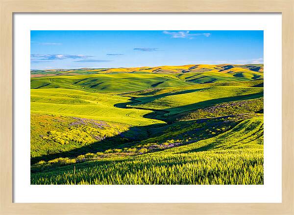 Palouse Springtime Tranquility