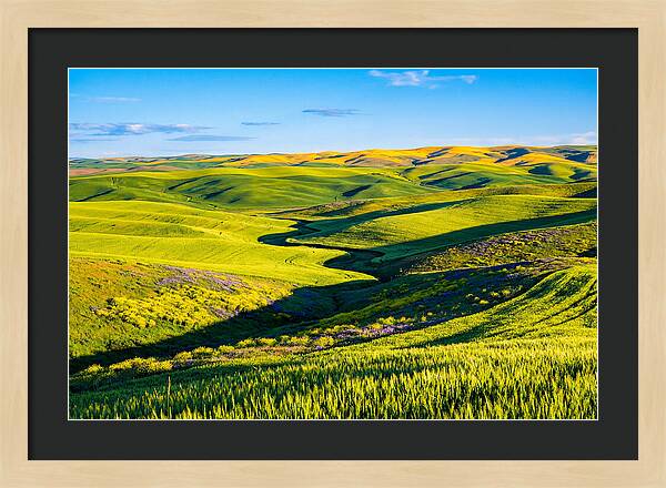 Palouse Springtime Tranquility