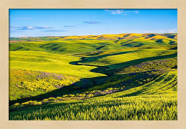 Palouse Springtime Tranquility