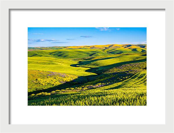 Palouse Springtime Tranquility