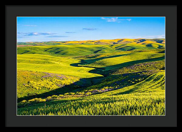 Palouse Springtime Tranquility