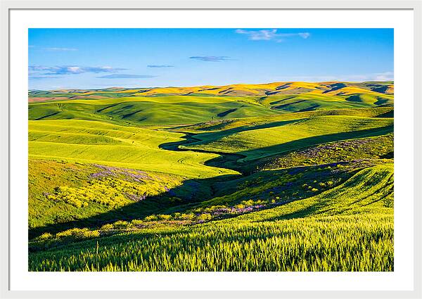 Palouse Springtime Tranquility