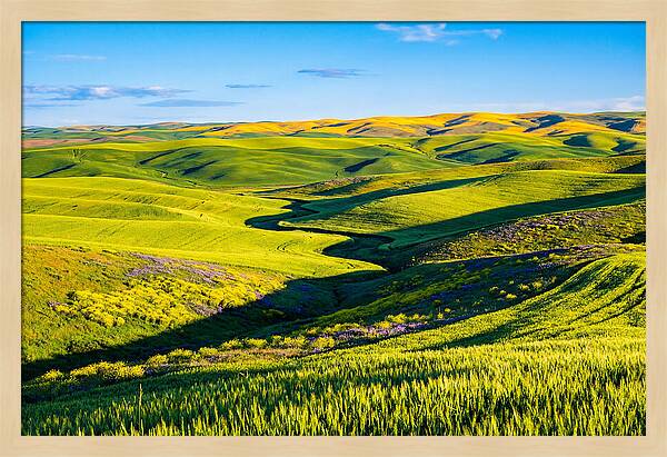 Palouse Springtime Tranquility