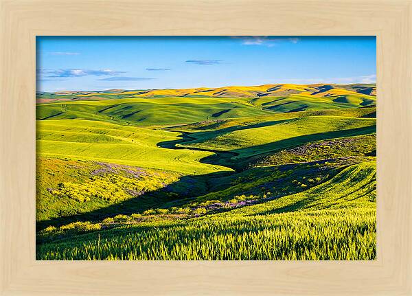 Palouse Springtime Tranquility