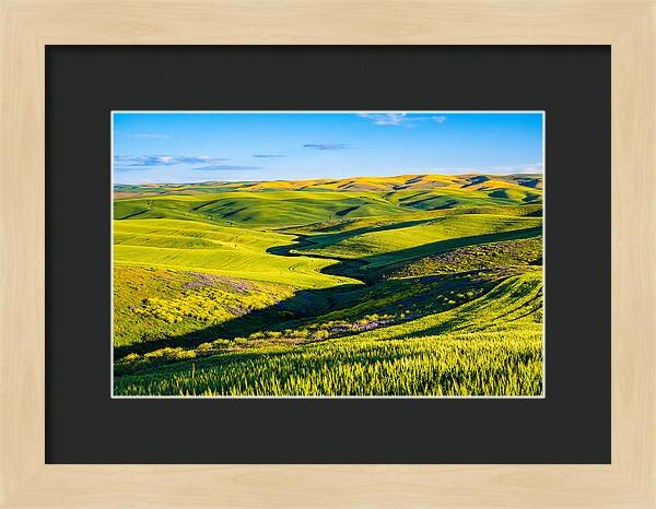 Palouse Springtime Tranquility