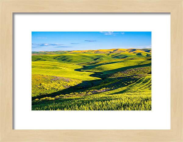 Palouse Springtime Tranquility