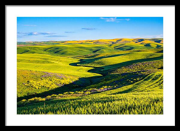 Palouse Springtime Tranquility