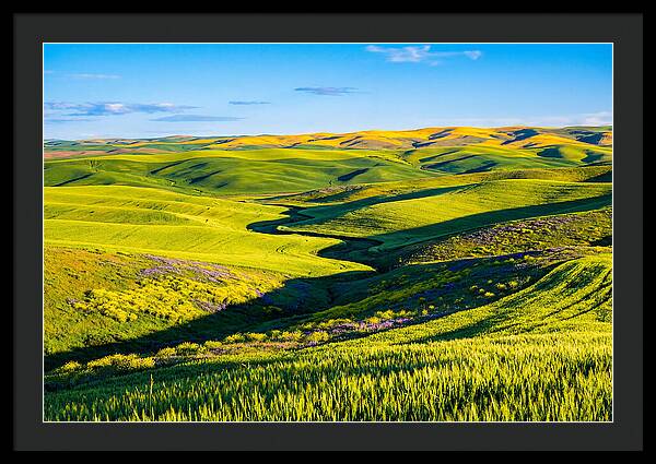 Palouse Springtime Tranquility