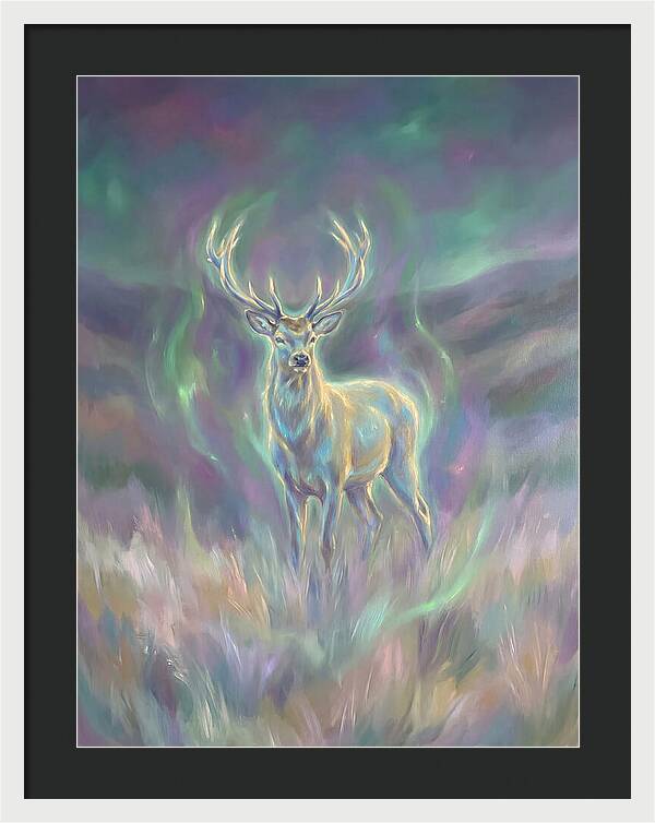 Pampas Deer