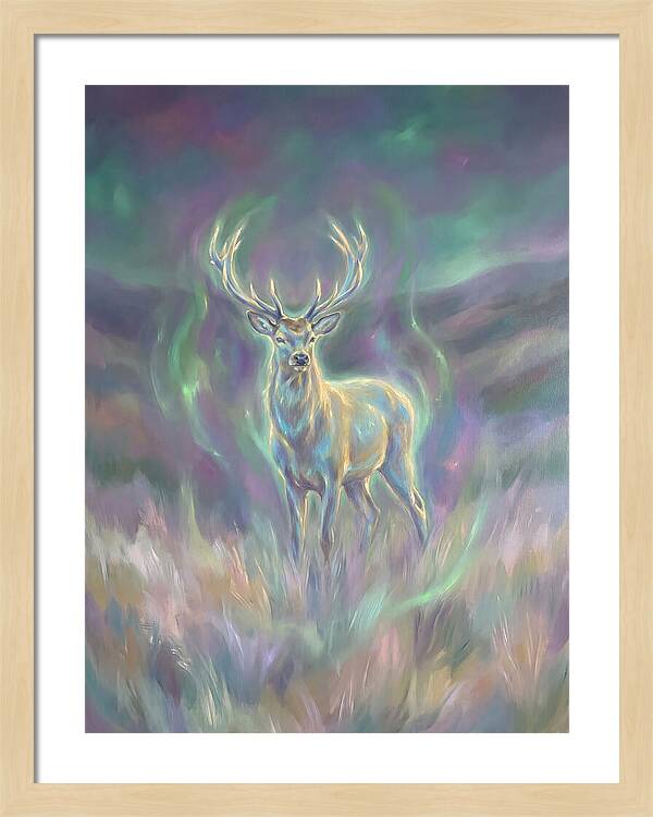 Pampas Deer