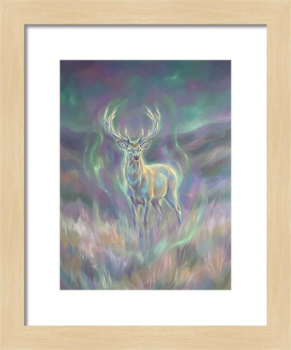 Pampas Deer