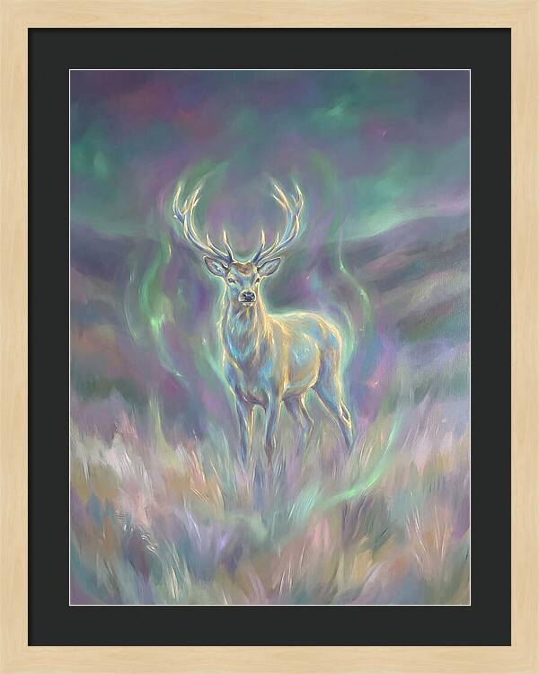 Pampas Deer