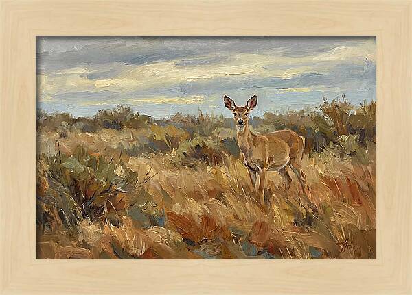 Pampas Deer In Natural Habitat