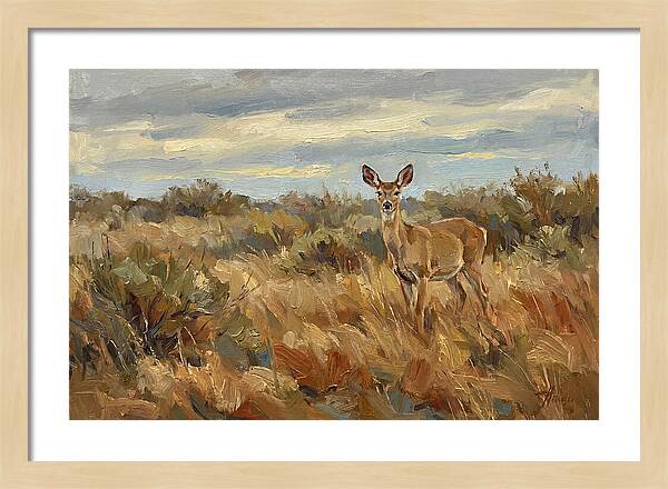 Pampas Deer In Natural Habitat