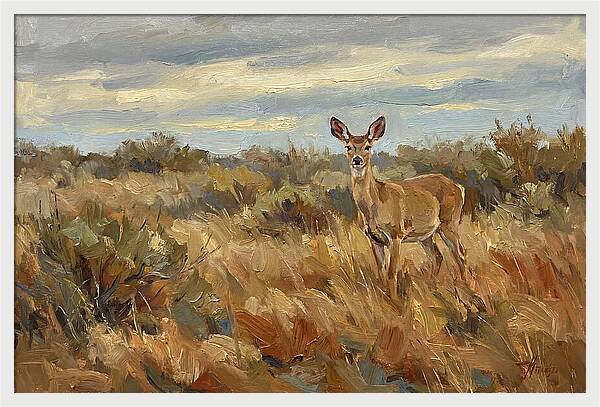 Pampas Deer In Natural Habitat
