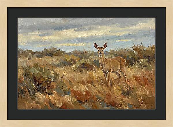 Pampas Deer In Natural Habitat