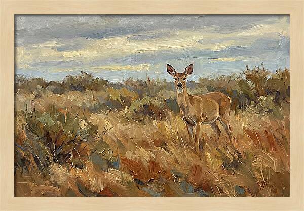 Pampas Deer In Natural Habitat