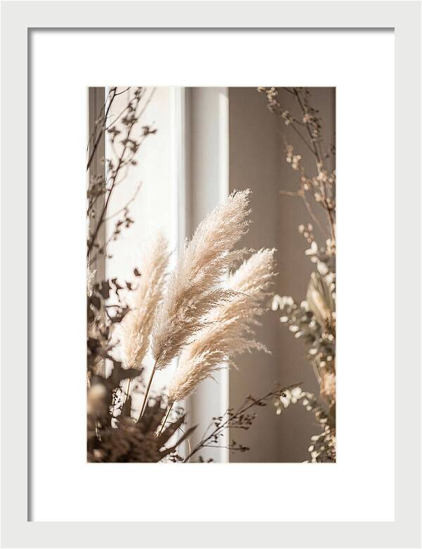 Pampas Grass Plumes Waving