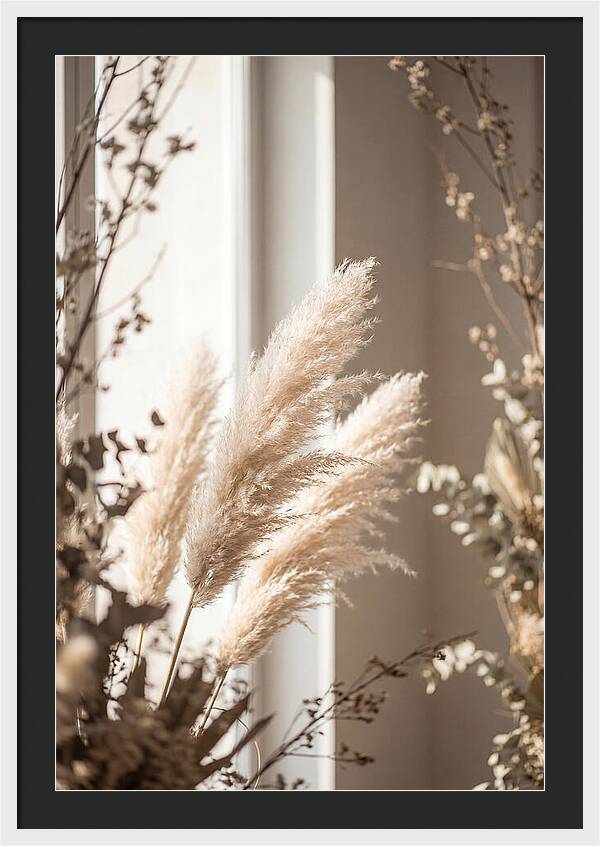 Pampas Grass Plumes Waving