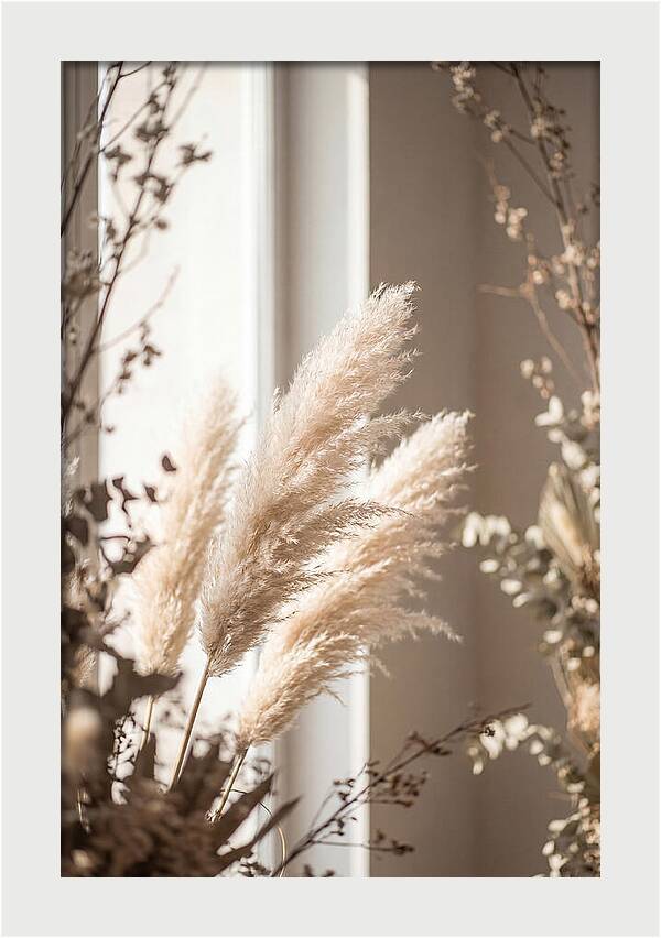 Pampas Grass Plumes Waving