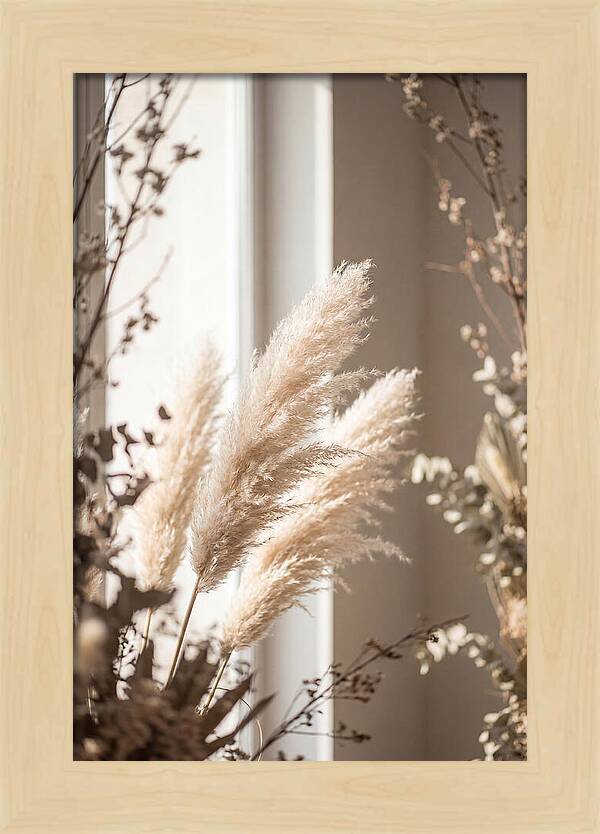 Pampas Grass Plumes Waving