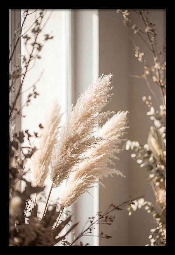 Pampas Grass Plumes Waving