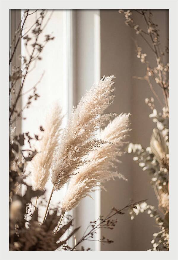 Pampas Grass Plumes Waving