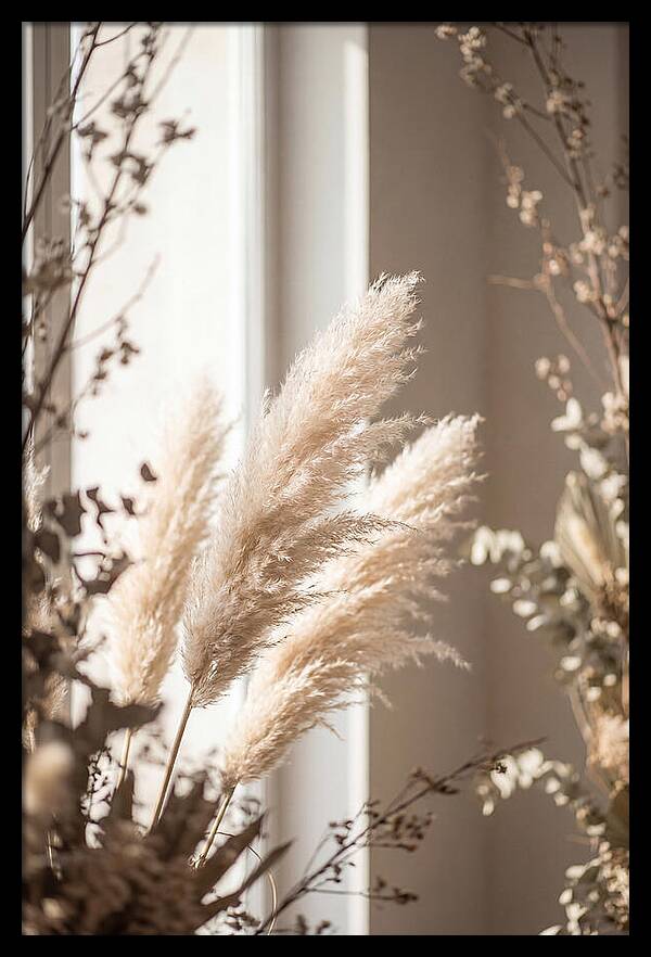 Pampas Grass Plumes Waving