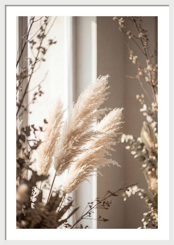 Pampas Grass Plumes Waving