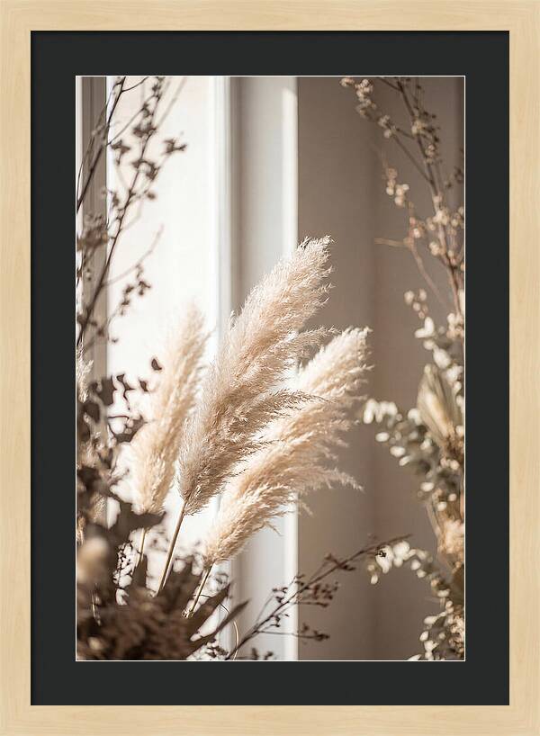 Pampas Grass Plumes Waving