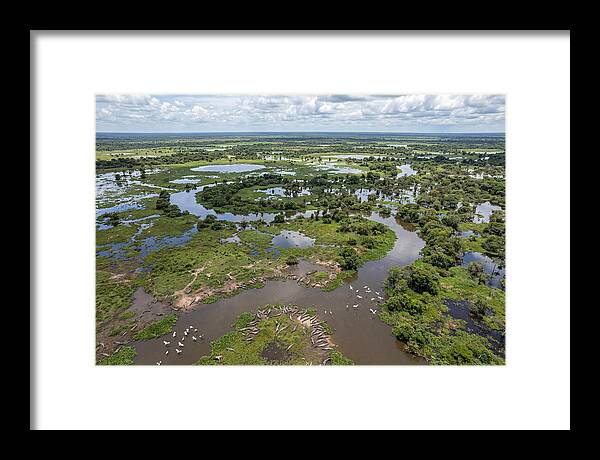 Pantanal Landscape In Flood Season