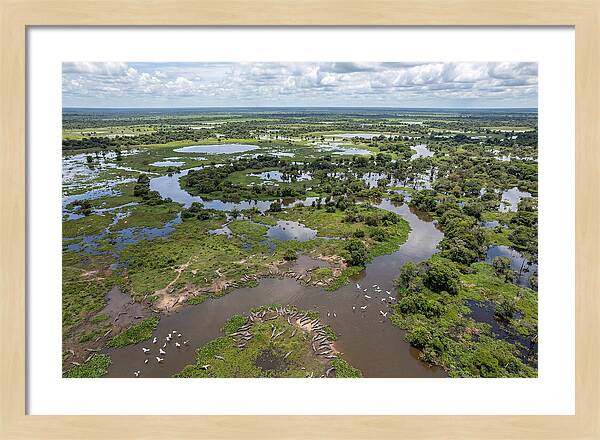Pantanal Landscape In Flood Season
