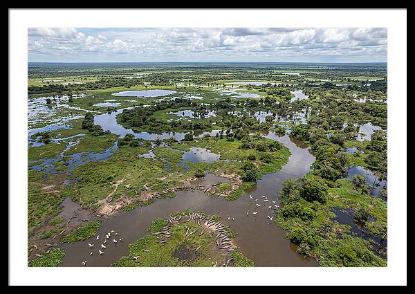 Pantanal Landscape In Flood Season