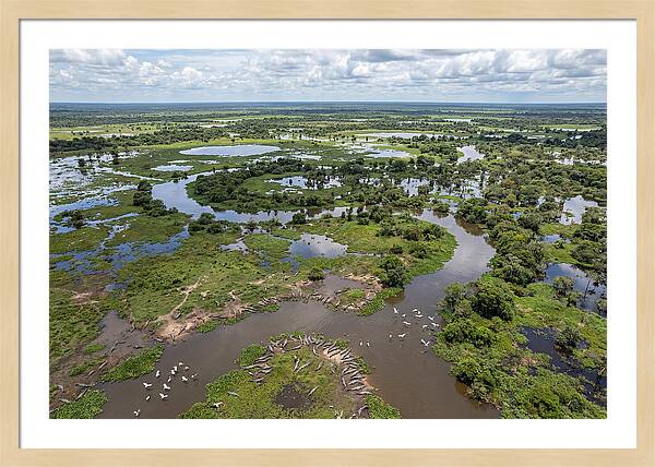 Pantanal Landscape In Flood Season