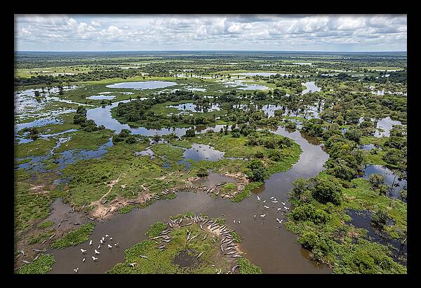 Pantanal Landscape In Flood Season