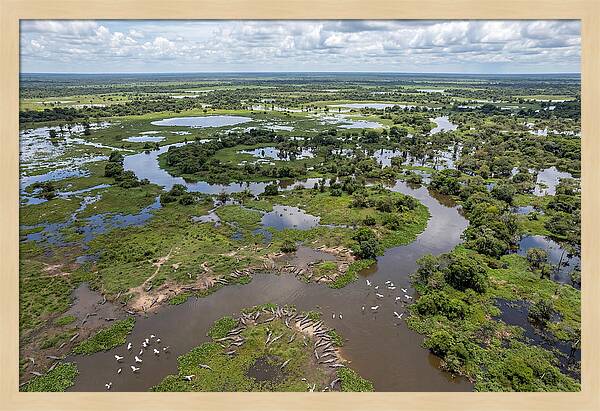Pantanal Landscape In Flood Season