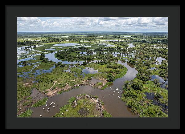 Pantanal Landscape In Flood Season
