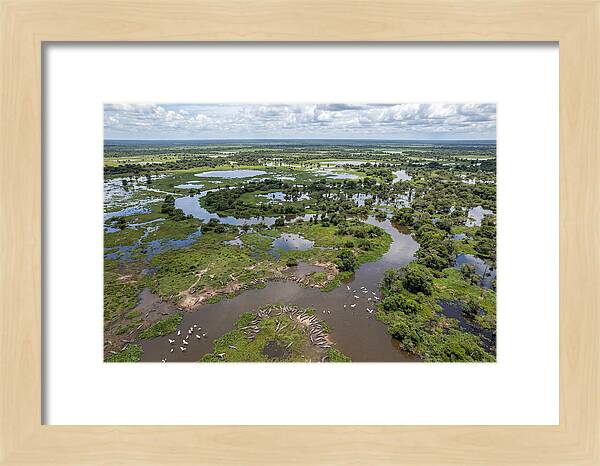 Pantanal Landscape In Flood Season
