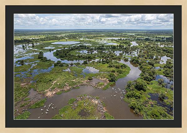 Pantanal Landscape In Flood Season