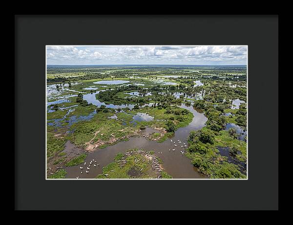 Pantanal Landscape In Flood Season