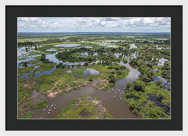 Pantanal Landscape In Flood Season
