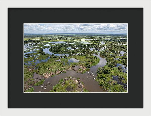 Pantanal Landscape In Flood Season